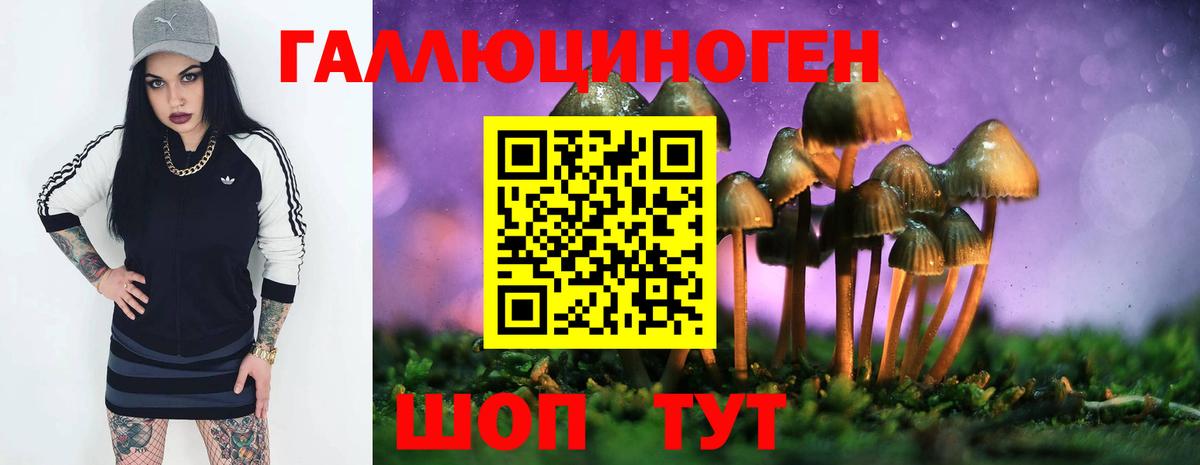 Хабаровск  Псилоцибиновые грибы Psilocybine cubensis  Вход с VPN  Галлюциногенные грибы ЛСД 